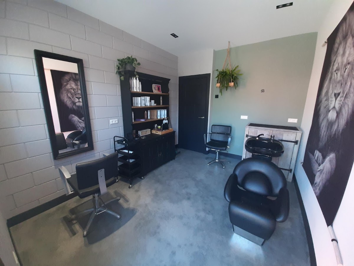 Alice Hairstyling aan Huis